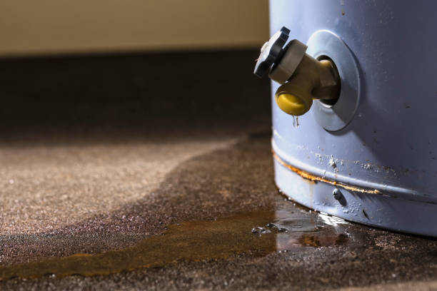 Best Fire Damage Restoration  in Fallsburg, NY