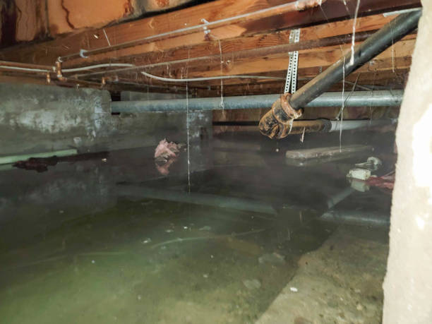 Best 24/7 water damage repair  in Fallsburg, NY