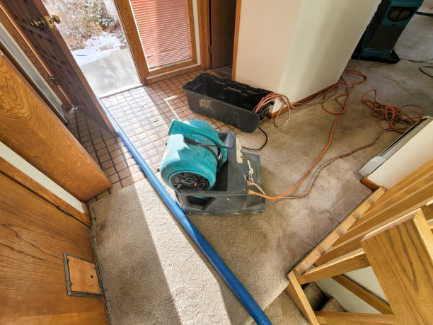 Best 24-hour water damage restoration  in Fallsburg, NY