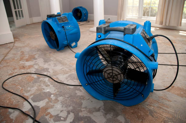 Best Flooded house restoration  in Fallsburg, NY