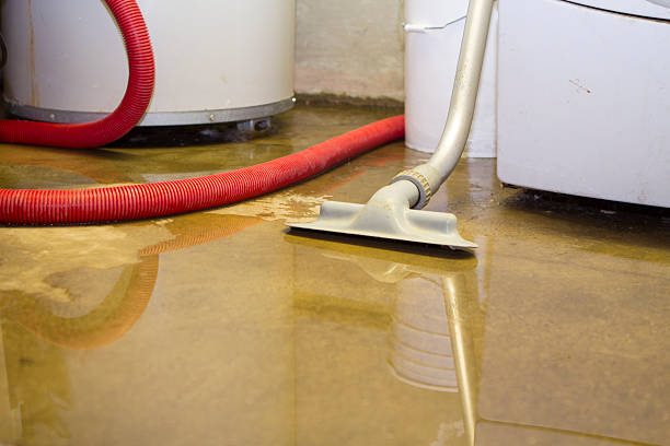 Best Professional water damage repair  in Fallsburg, NY