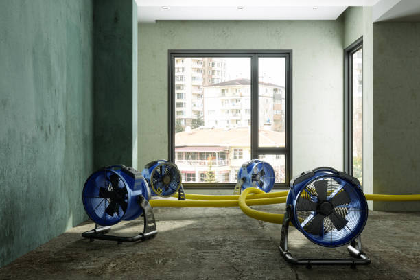 Best Water damage restoration near me  in Fallsburg, NY