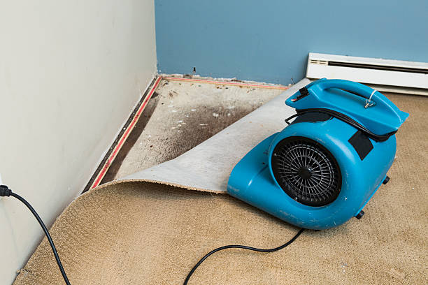 Best Flood damage cleanup  in Fallsburg, NY